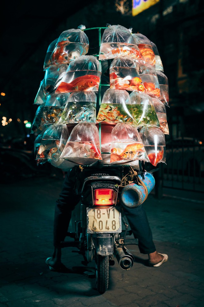 Xe bán cá cảnh rong ở Hà Nội chiến thắng giải thưởng nhiếp ảnh uy tín Mỹ - ảnh 1