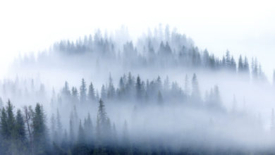 Photo of Thủ thuật lập bố cục để chụp sương mù hoàn hảo
