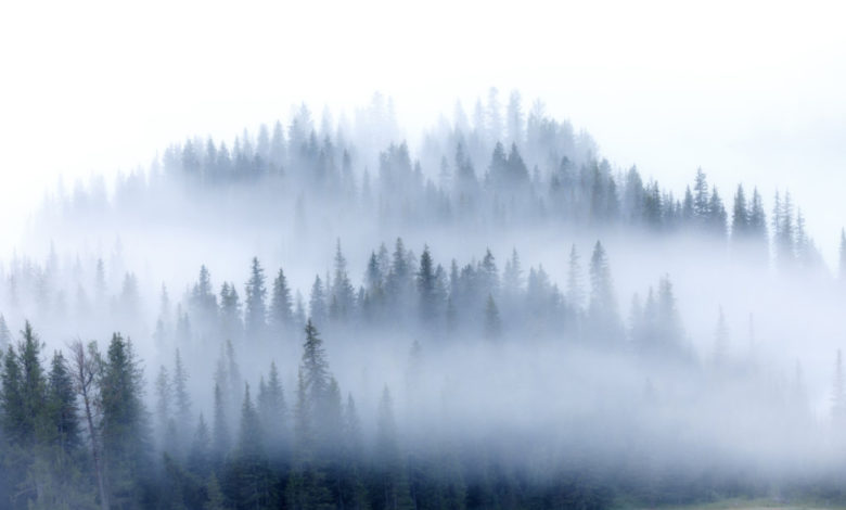 Photo of Thủ thuật lập bố cục để chụp sương mù hoàn hảo